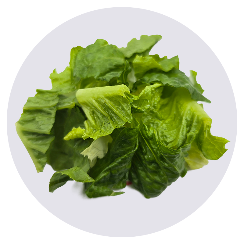 Salade
